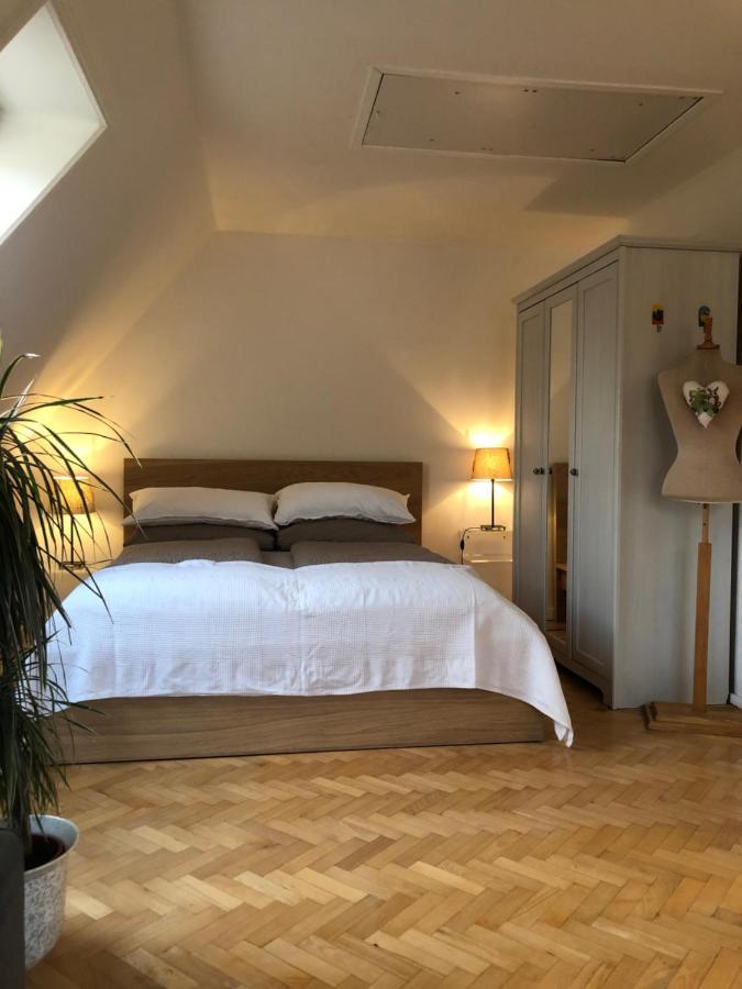 Appartement Im Gruenen 沙博伊茨 外观 照片